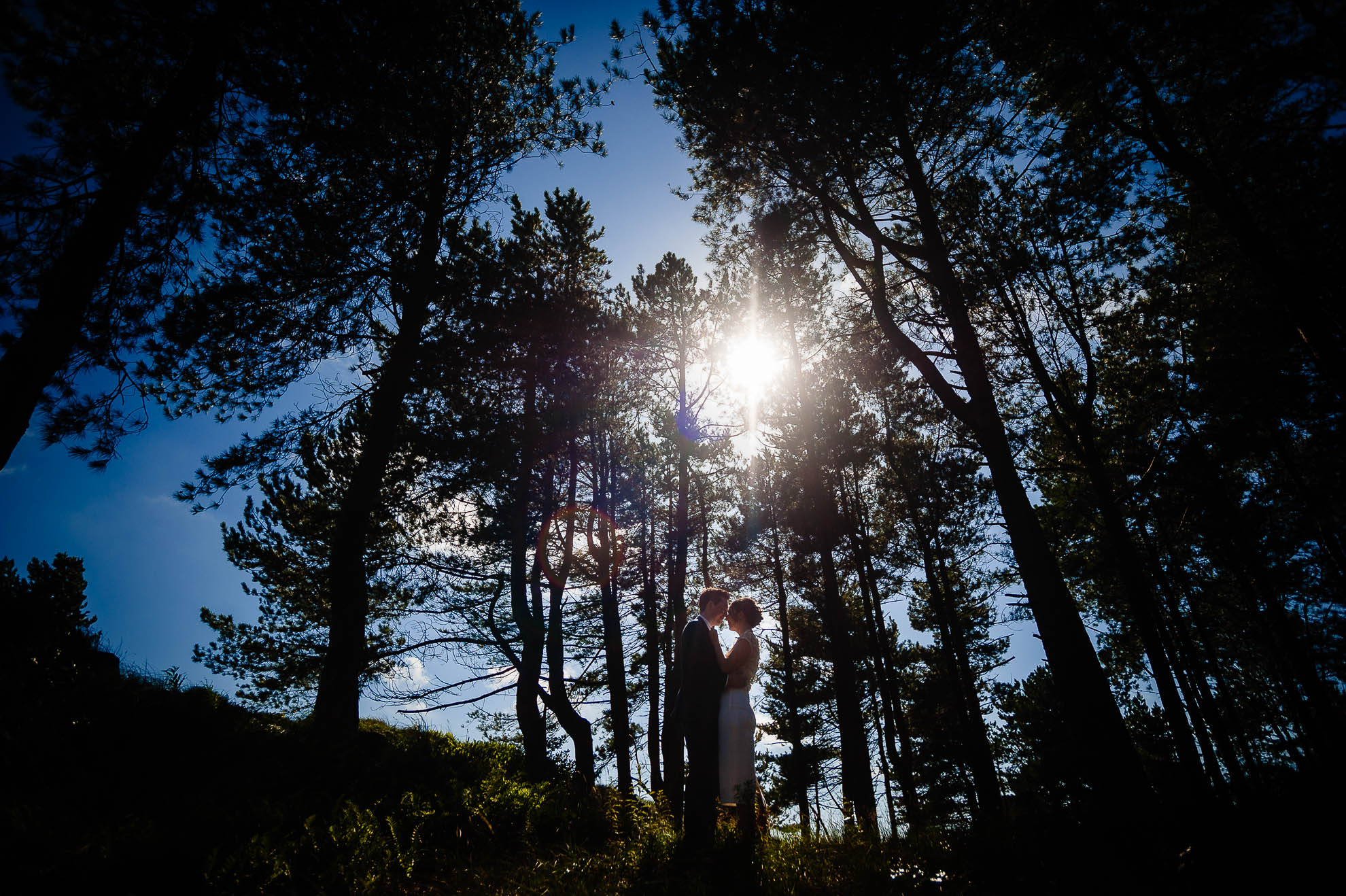 Bride and groom portrait in woods