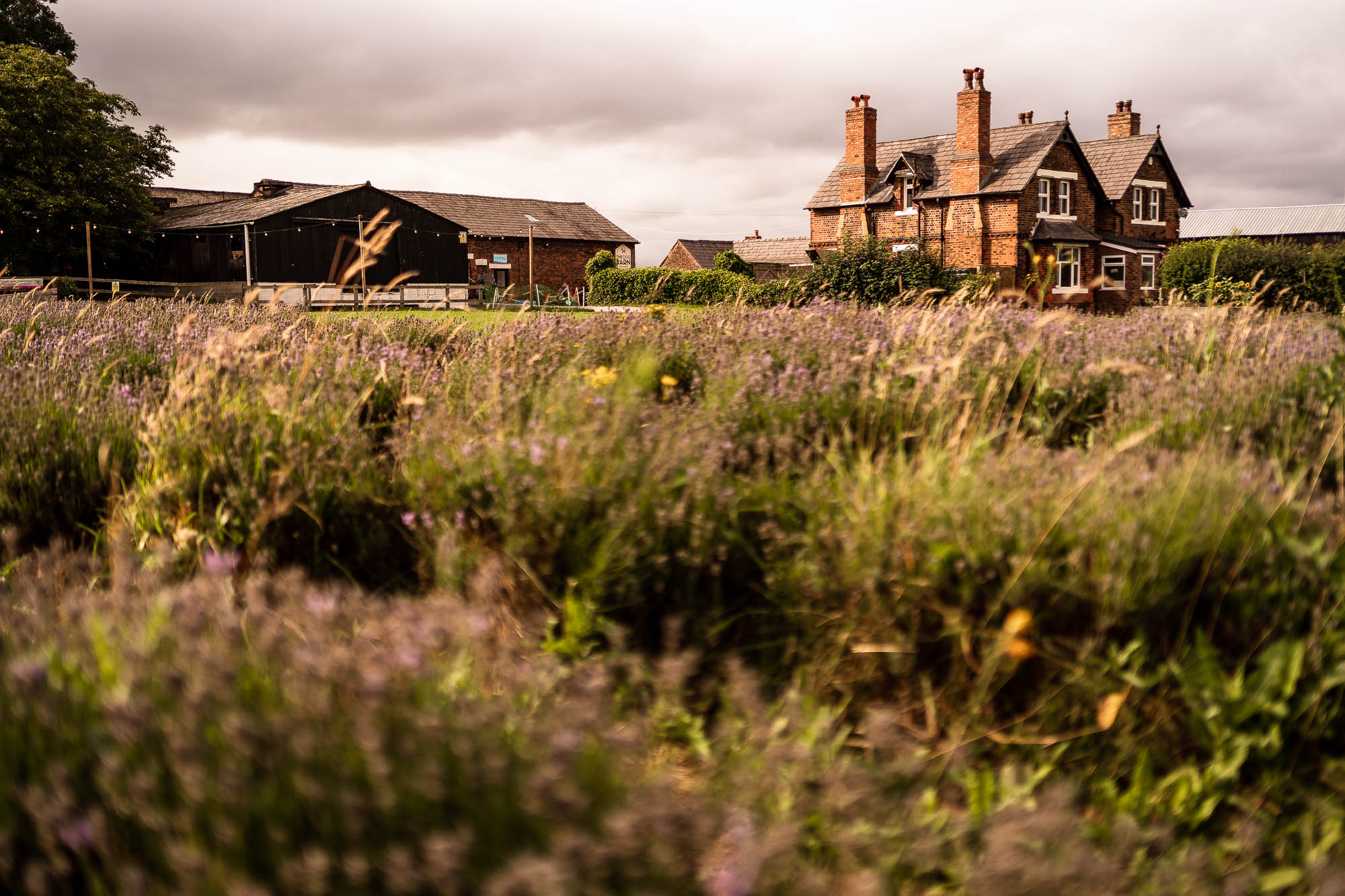 Inglenook Farm