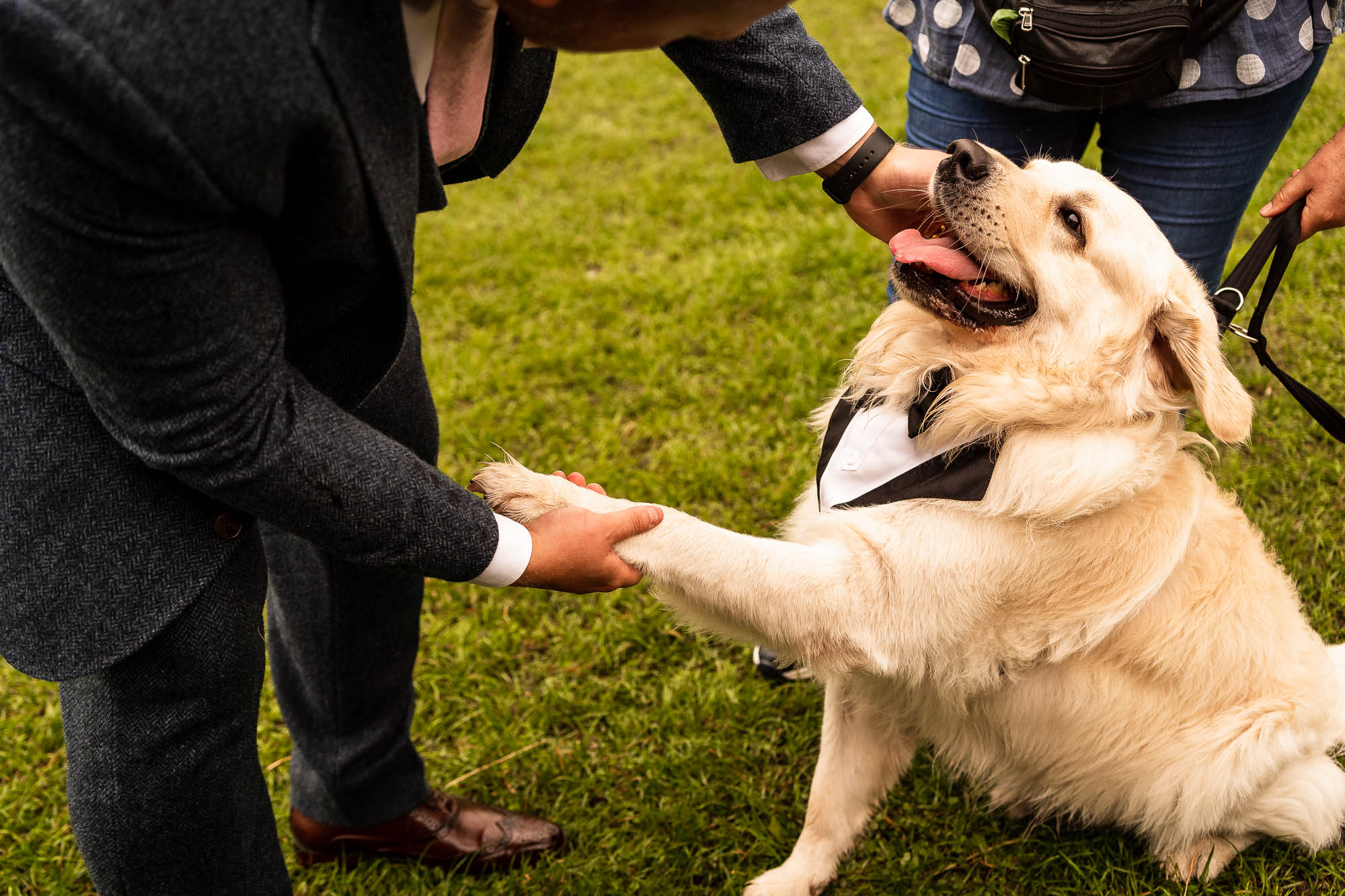 Groom plays with dog