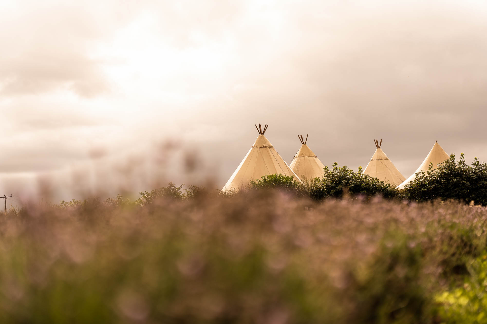 Betty's Tipi Inglenook fam