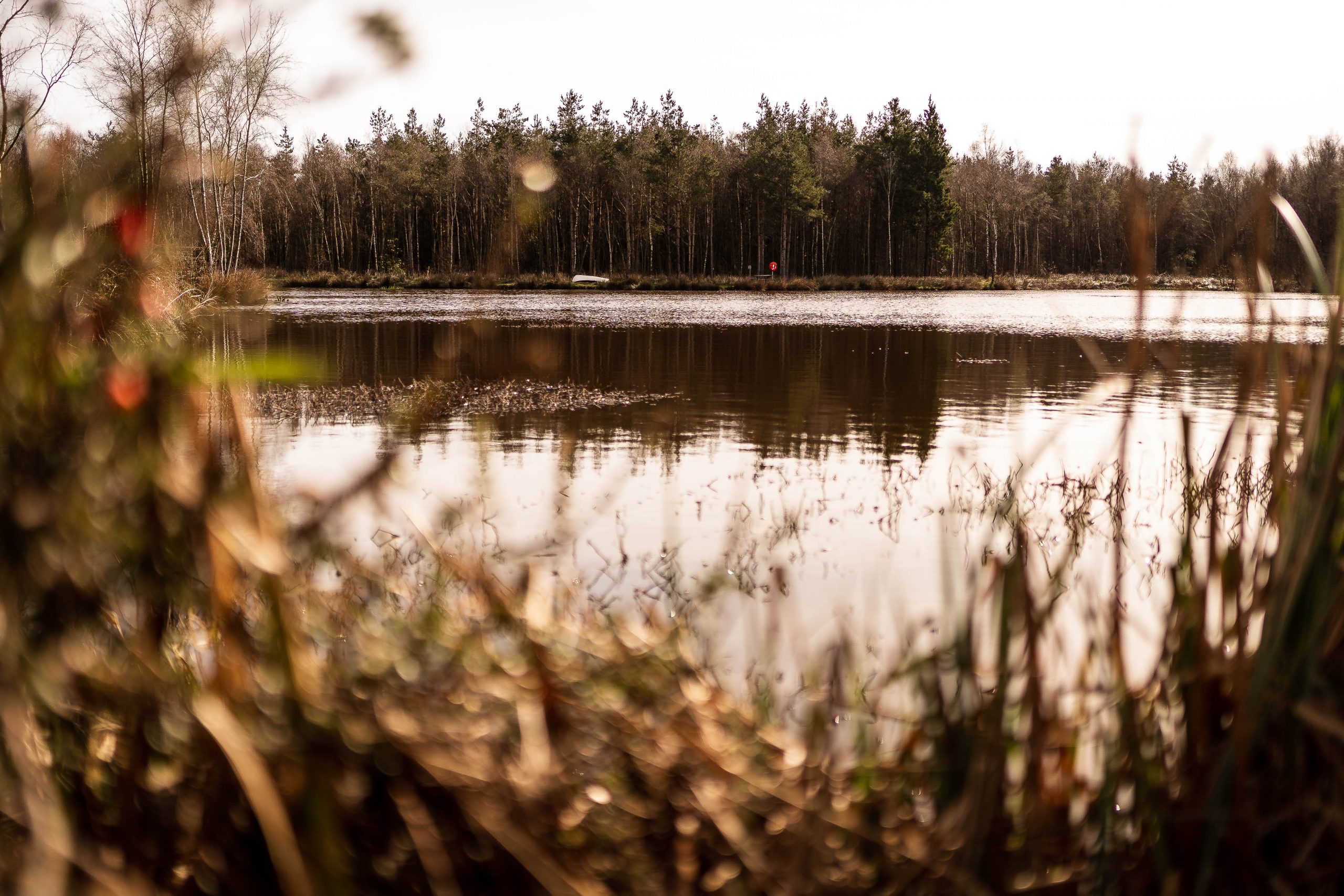 Darwin Lake