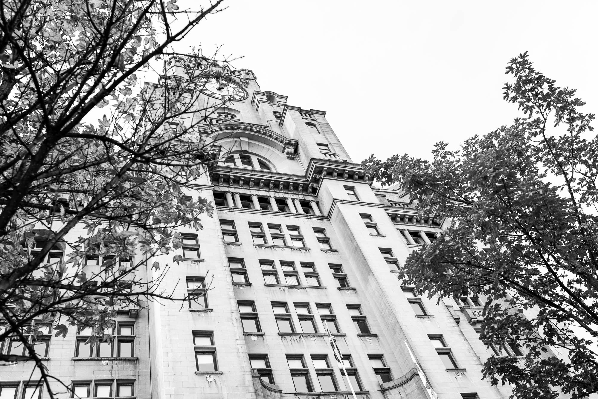 The Royal Liver building
