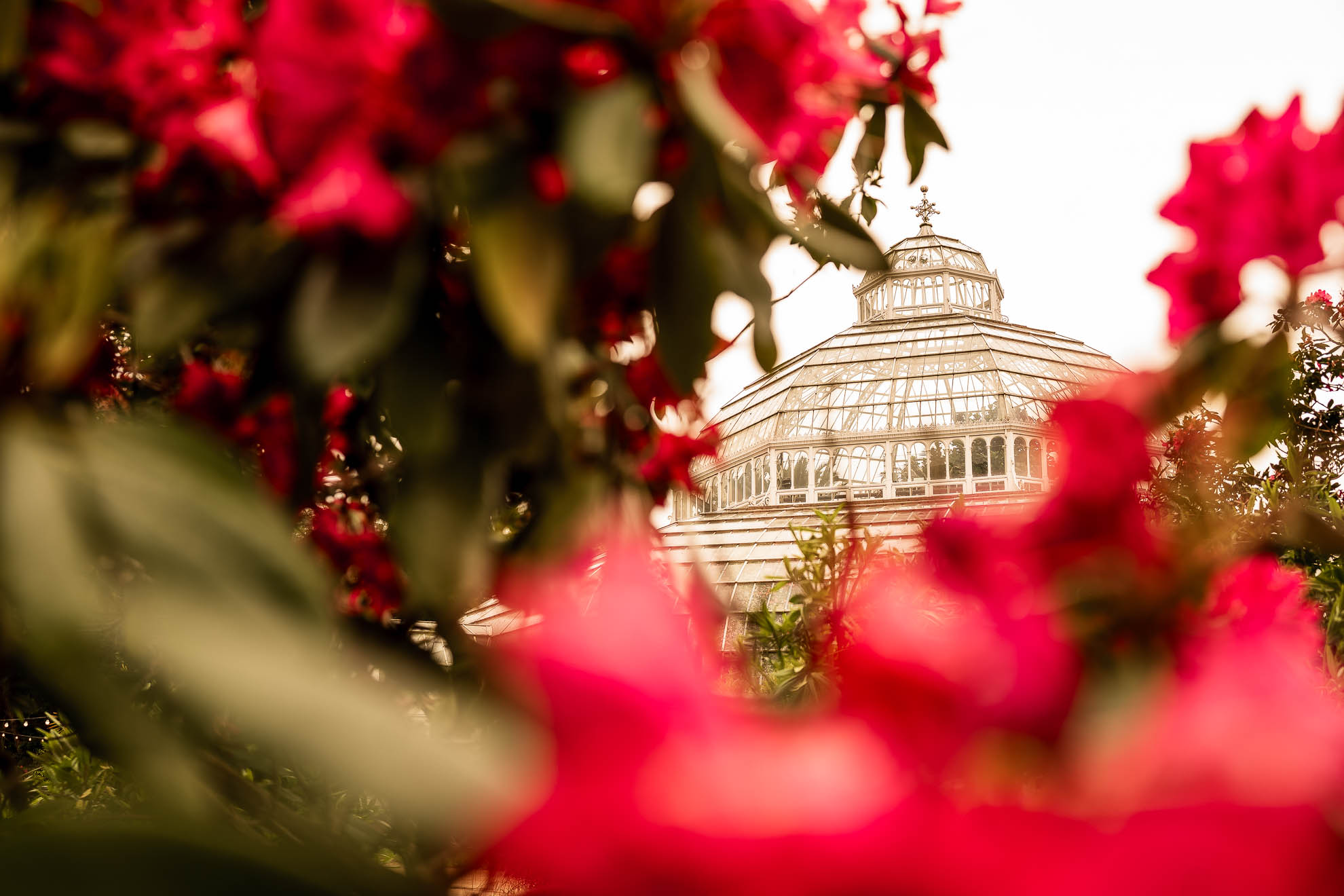 Sefton Park Palm House wedding venue